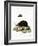 Hedgehog-null-Framed Giclee Print