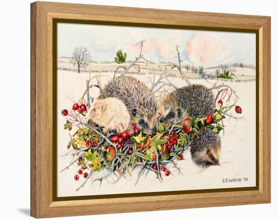 Hedgehogs in Hedgerow Basket, 1996-E.B. Watts-Framed Premier Image Canvas
