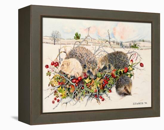 Hedgehogs in Hedgerow Basket, 1996-E.B. Watts-Framed Premier Image Canvas