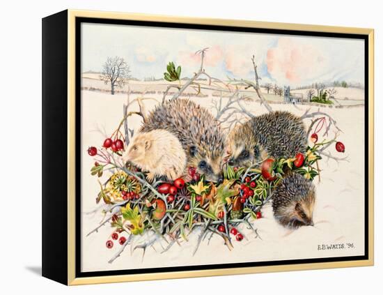 Hedgehogs in Hedgerow Basket, 1996-E.B. Watts-Framed Premier Image Canvas