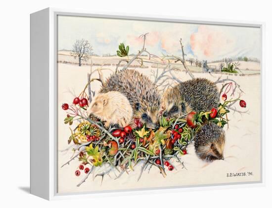 Hedgehogs in Hedgerow Basket, 1996-E.B. Watts-Framed Premier Image Canvas