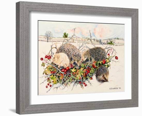 Hedgehogs in Hedgerow Basket, 1996-E.B. Watts-Framed Giclee Print