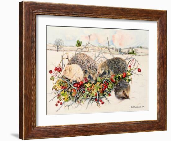 Hedgehogs in Hedgerow Basket, 1996-E.B. Watts-Framed Giclee Print