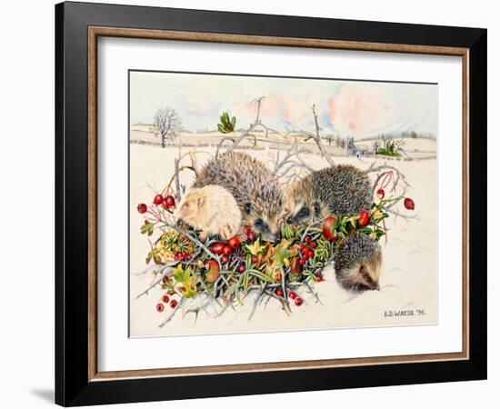 Hedgehogs in Hedgerow Basket, 1996-E.B. Watts-Framed Giclee Print