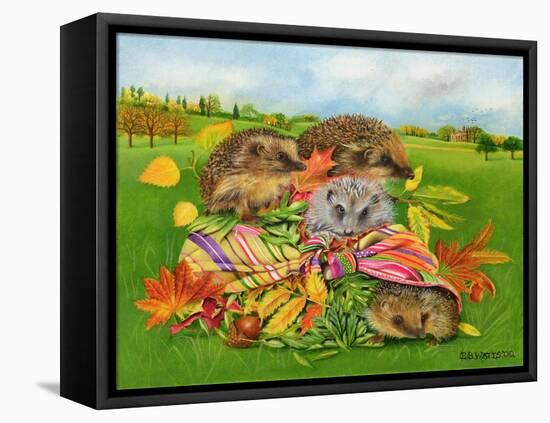 Hedgehogs Inside Scarf, 2000-E.B. Watts-Framed Premier Image Canvas
