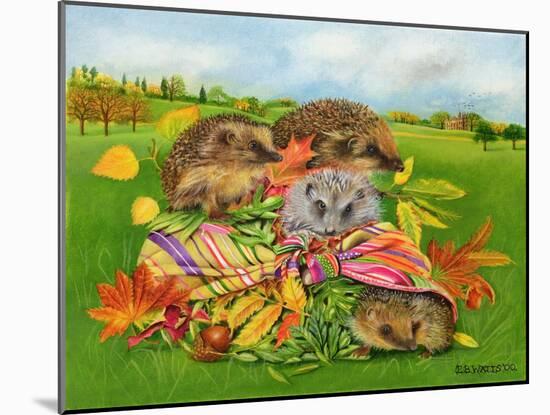 Hedgehogs Inside Scarf, 2000-E.B. Watts-Mounted Giclee Print