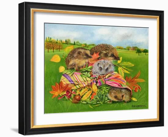 Hedgehogs Inside Scarf, 2000-E.B. Watts-Framed Giclee Print