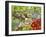 Hedgehogs Playing in Garden-MAKIKO-Framed Giclee Print