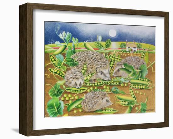 Hedgehogs with Peas Beside a Poppy Field at Night, 1994-E.B. Watts-Framed Giclee Print