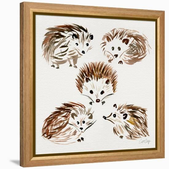 Hedgehogs-Cat Coquillette-Framed Premier Image Canvas