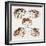 Hedgehogs-Cat Coquillette-Framed Giclee Print