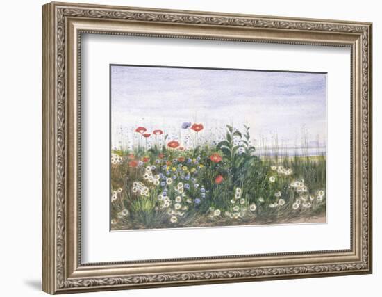 Hedgerow II-Andrew Nicholl-Framed Premium Giclee Print