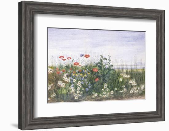 Hedgerow II-Andrew Nicholl-Framed Premium Giclee Print