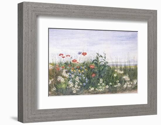 Hedgerow II-Andrew Nicholl-Framed Premium Giclee Print