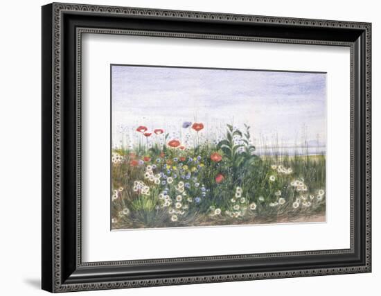 Hedgerow II-Andrew Nicholl-Framed Premium Giclee Print