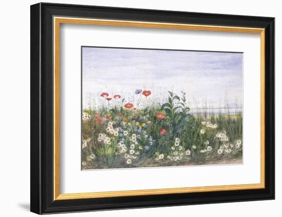 Hedgerow II-Andrew Nicholl-Framed Premium Giclee Print