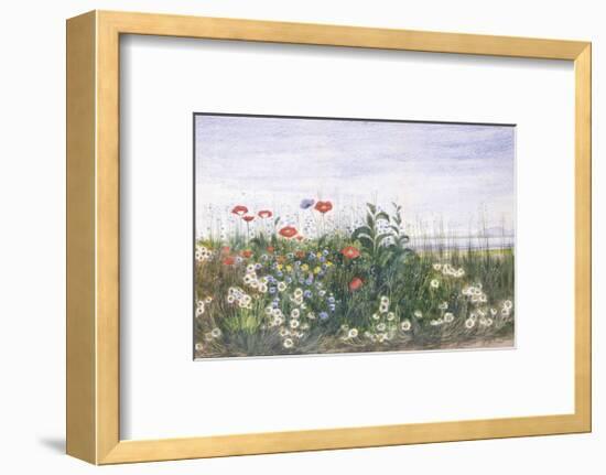 Hedgerow II-Andrew Nicholl-Framed Premium Giclee Print