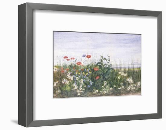 Hedgerow II-Andrew Nicholl-Framed Premium Giclee Print