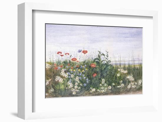 Hedgerow II-Andrew Nicholl-Framed Premium Giclee Print