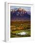Hedrick Pond and the Grand Teton-Mike Cavaroc-Framed Photographic Print