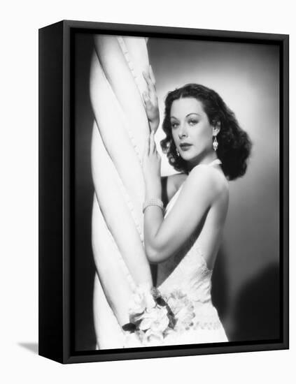 Hedy Lamarr-null-Framed Premier Image Canvas