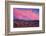 Heermann's gulls choosing and protecting nesting site, Mexico-Claudio Contreras-Framed Photographic Print