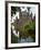 Heeswijk Castle, S-Hertogenbosch, Limburg, the Netherlands, Europe-Emanuele Ciccomartino-Framed Photographic Print