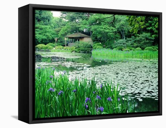 Heian Shrine Garden, Kyoto, Japan-null-Framed Premier Image Canvas