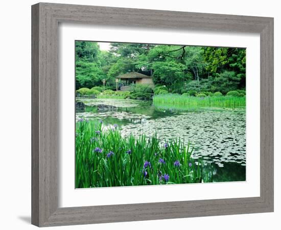 Heian Shrine Garden, Kyoto, Japan-null-Framed Photographic Print