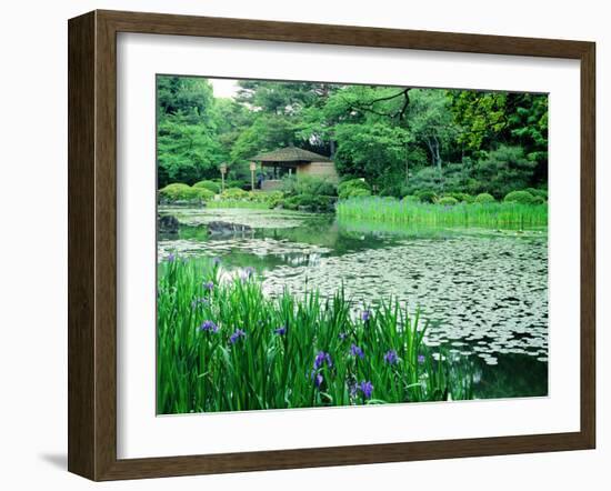 Heian Shrine Garden, Kyoto, Japan-null-Framed Photographic Print