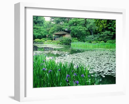 Heian Shrine Garden, Kyoto, Japan-null-Framed Photographic Print