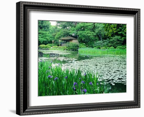 Heian Shrine Garden, Kyoto, Japan-null-Framed Photographic Print