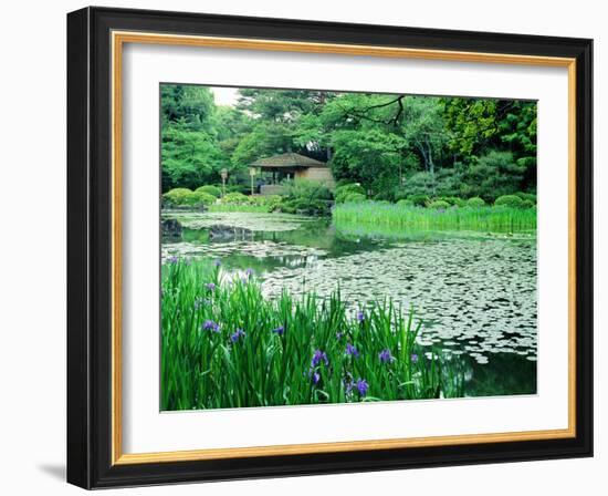 Heian Shrine Garden, Kyoto, Japan-null-Framed Photographic Print