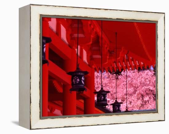 Heian Shrine in Spring, Shinto, Kyoto, Japan-Shin Terada-Framed Premier Image Canvas