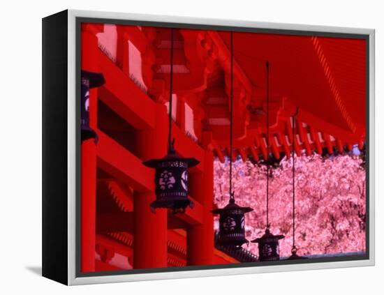 Heian Shrine in Spring, Shinto, Kyoto, Japan-Shin Terada-Framed Premier Image Canvas