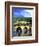 Heidelberg Castle, Heidelberg, Germany-Miva Stock-Framed Photographic Print