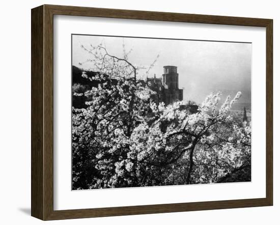 Heidelberg Schloss-null-Framed Photographic Print