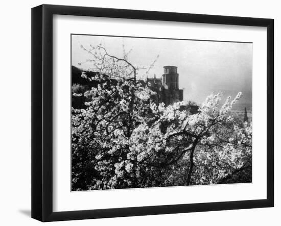 Heidelberg Schloss-null-Framed Photographic Print