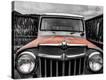Stretched Canvas Print