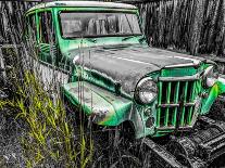 Dad's Willys II-Heidi Bannon-Photo