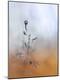 Premium Photographic Print