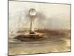 Photographic Print