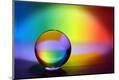 Premium Photographic Print