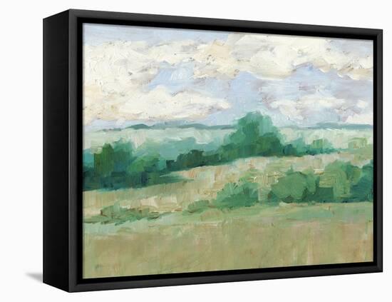 Height of Summer I-Ethan Harper-Framed Stretched Canvas