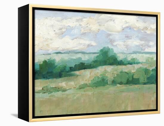 Height of Summer I-Ethan Harper-Framed Stretched Canvas