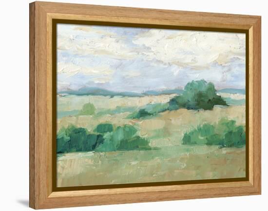 Height of Summer II-Ethan Harper-Framed Stretched Canvas