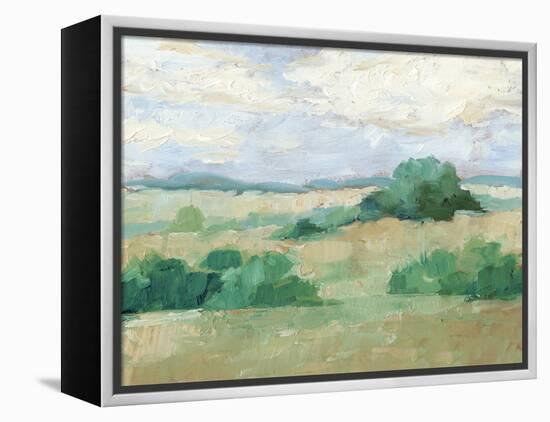 Height of Summer II-Ethan Harper-Framed Stretched Canvas