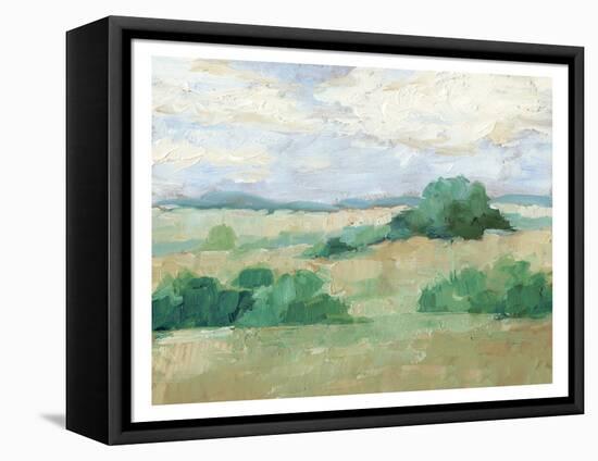 Height of Summer II-Ethan Harper-Framed Stretched Canvas