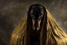 Golden Eyes-Heike Willers-Photographic Print