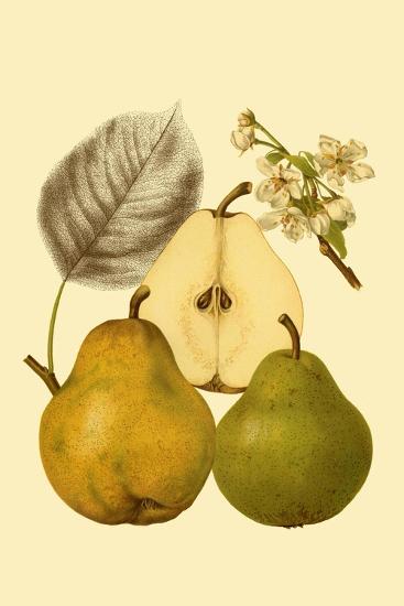 Art Print, , large